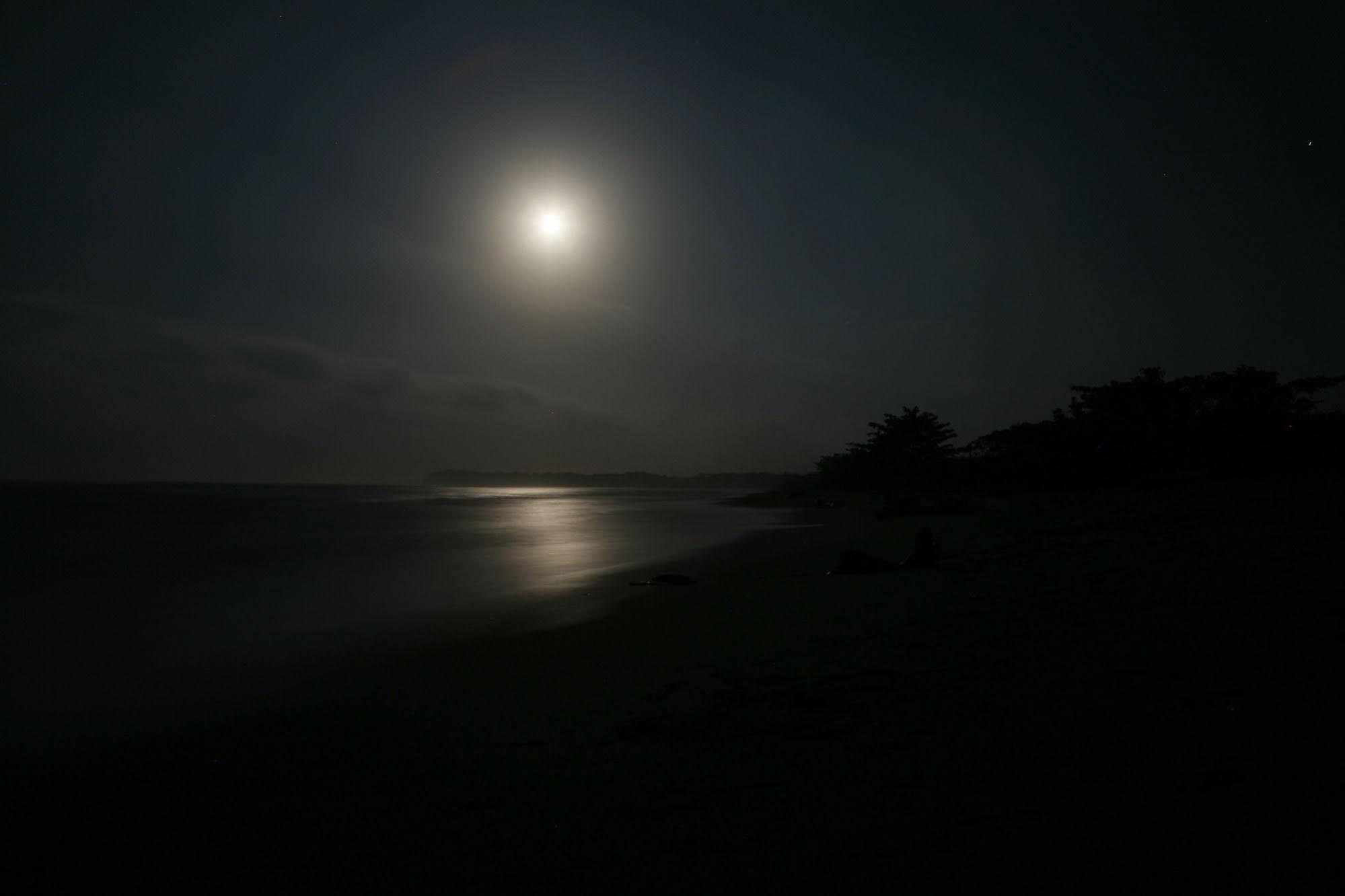 Отель Playa Koralia Санта-Марта Экстерьер фото